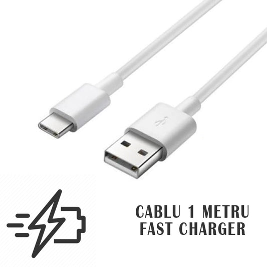 Cablu date si incarcare Fast Charge 2A, 1Metru, de la USB la TypeC/MicroUSB/Lightning, MS500